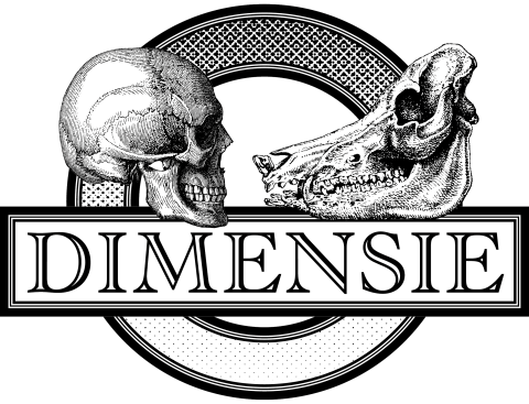 Logo Dimensie